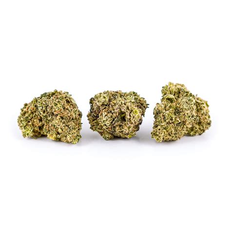 Blue Unicorn Weedpedia Coupons And Reviews