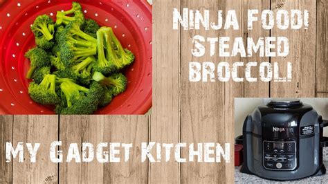 Ninja Foodi Qt How To Make Steamed Broccoli My Gadget Kitchen