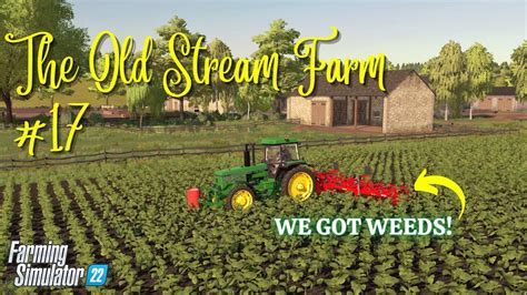 THE OLD STREAM FARM 17 WE GOT WEEDS FS22 PS5 Farming