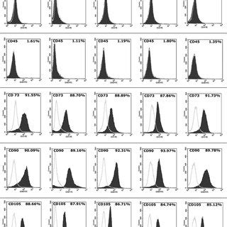 Flow Cytometric Analysis Of Surface Marker Expression On Mesenchymal