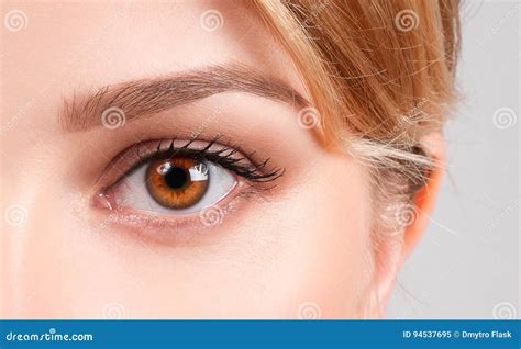 Beauty Concept Beautiful Female Brown Eyes Stock Image Image Of