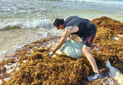 Playas De Canc N Sufren Por El Exceso De Basura Abandonada