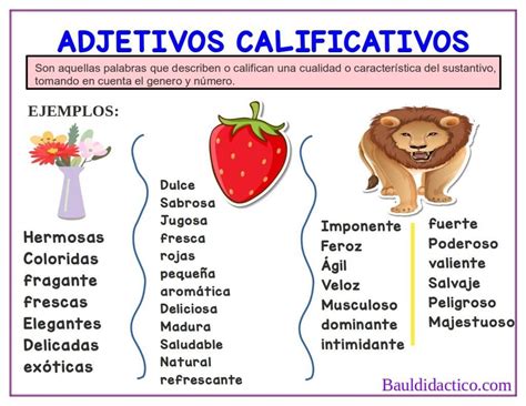 Adjetivos Com Letra E - 5 Ejemplos De Adjetivos Calificativos