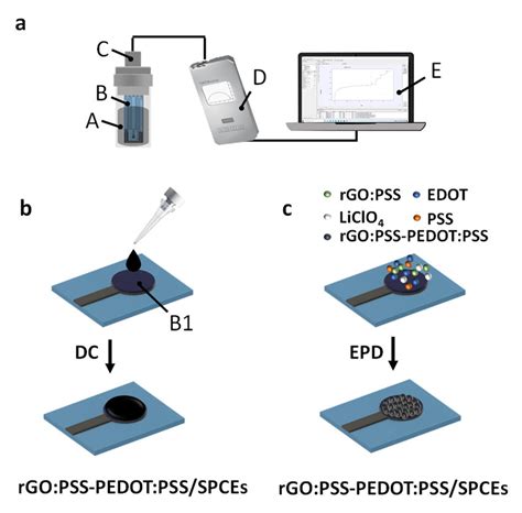 All Solid State Ion Selective Sensors A Schematic Of All Solid State