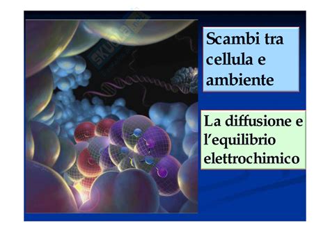 Istologia Teste E Atlante Con Elementi Di Biologia Cellulare E Molecolare Con Contenuto Digitale Fornito Elettronicamente 6