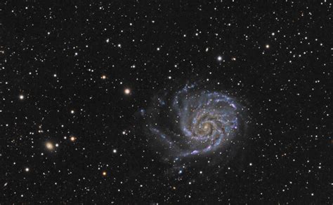 Messier 101 (Pinwheel Galaxy) – Schafer Astrophotography