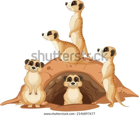 Meerkat Burrows: Over 56 Royalty-Free Licensable Stock Illustrations & Drawings | Shutterstock