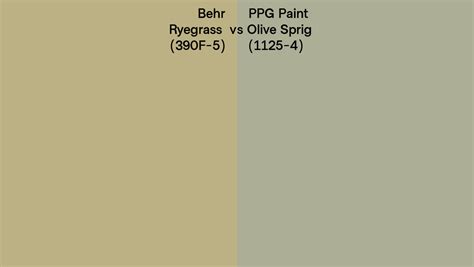 Behr Ryegrass F Vs Ppg Paint Olive Sprig Side By Side