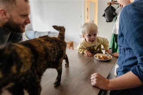 Natürliche Familienfotos Dokumentarische Familienfotografie