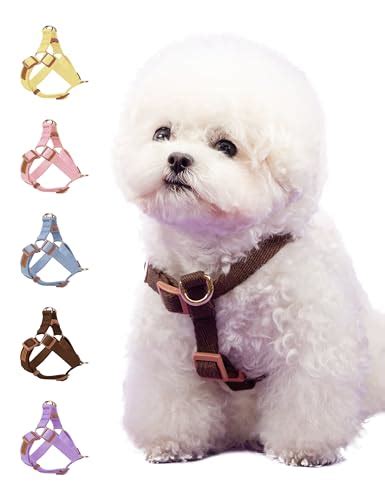 Dog Harness Types – The 15 best products compared - Wild Explained