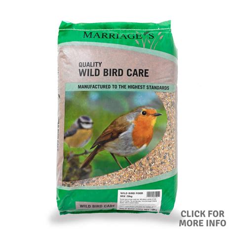 Which Premium Wild Bird Seed Is Best For Your Birds Pet Food Guide