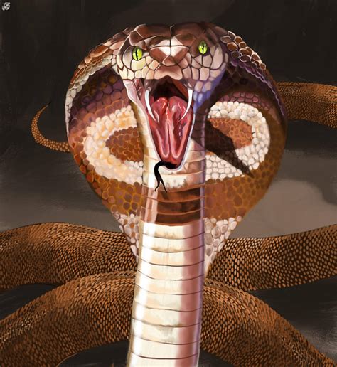 King Cobra By Jigsaw2888 On Deviantart