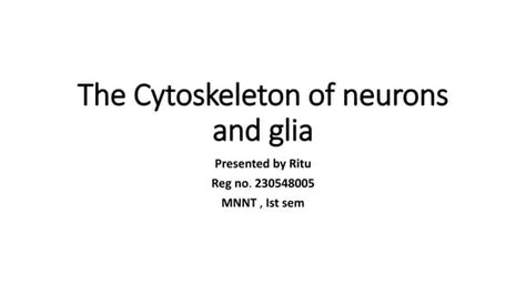 The Cytoskeleton Of The Neurons And Glia Ppt