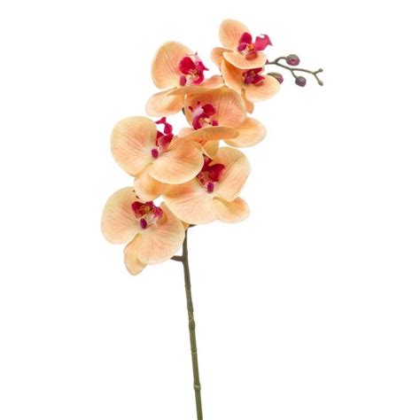 Rama De Orqu Deas Phalaenopsis Artificial Neith Naranja Fucsia Cm