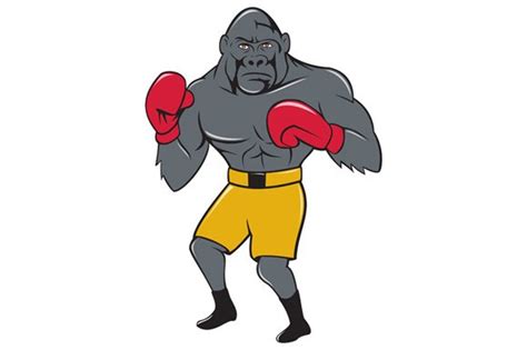 Gorilla Boxer Boxing Stance Cartoon Masterbundles