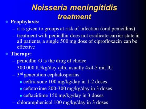 Neisseria meningitidis antibiotics