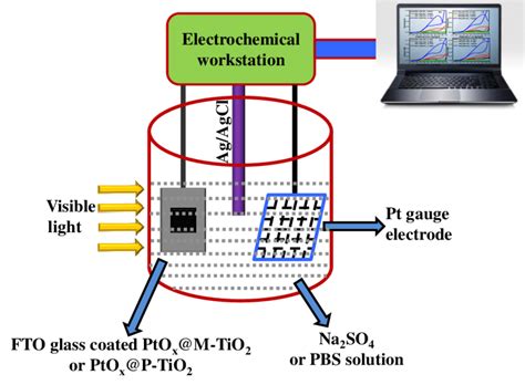 Fig S1 Schematic Diagram Of The Photoelectrochemical Measurements