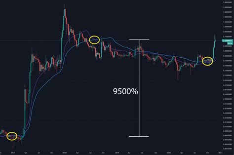 XRP Ripple Price Prediction 2024 2025 Paybis Blog