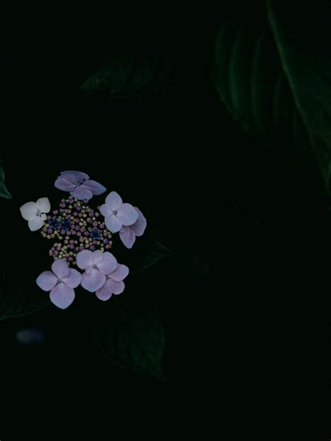 Fondo Tumblr Negro 8