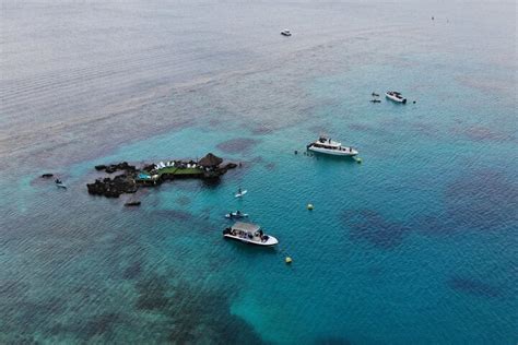 2024 Snorkeling Tour in Rosario Islands