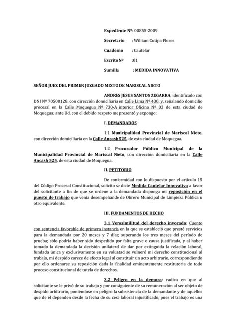 Medida Cautelar De Amparo PDF Descarga Gratuita