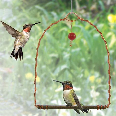 Hummingbird Feeders — Birdertown