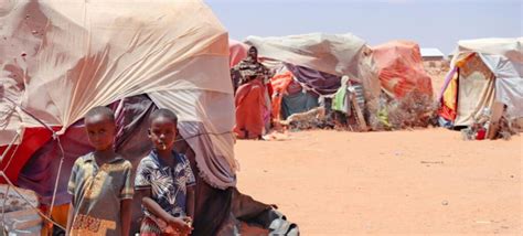 Drought And Conflict Force 80 000 To Flee Somalia For Kenyas Dadaab