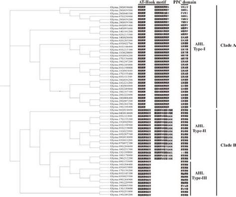 Figure 1 From Genome Wide Identi Cation And Expression Analysis Of The