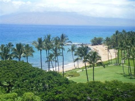 Ulua Beach Wailea 2020 All You Need To Know Before You Go With Photos Wailea Hi