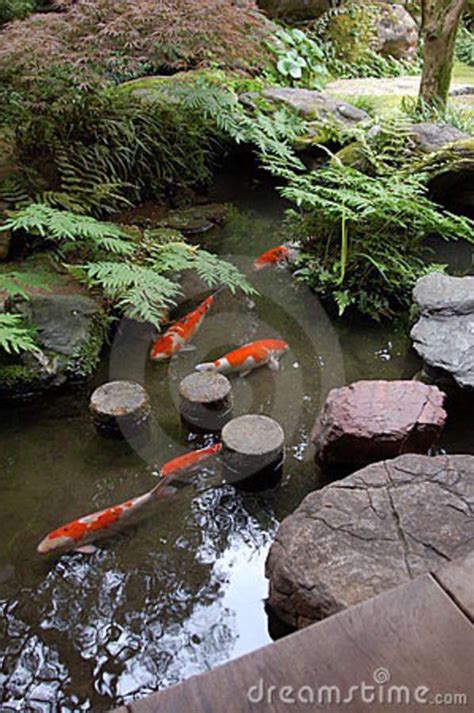 Japanese Zen Garden With Pond