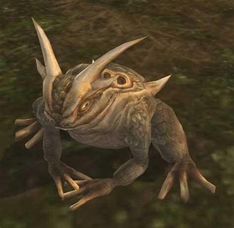 Bog Toad Dunbog Lotro Wiki