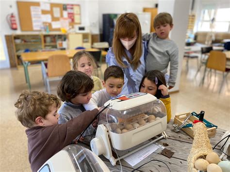 Colegios Valencianos Noticias Sobre Colegios Valencianos El Mundo