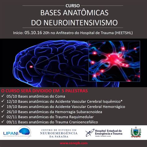 NEUROINTENSIVISMO BASES ANATÔMICAS DO NEUROINTENSIVISMO