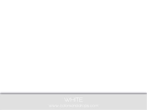 White Backdrop Uni Blanc Backdrop Photo 2024