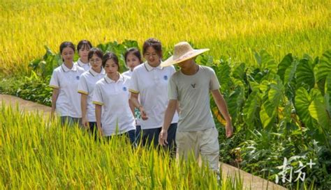 南方 肇庆学院4000余名学生奔赴广袤乡村，助力“百千万工程” 肇庆学院