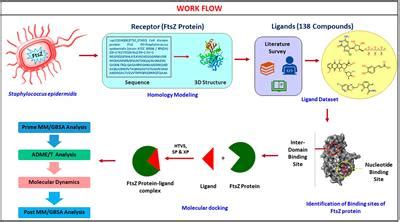 Frontiers Homology Modeling Virtual Screening Molecular Docking