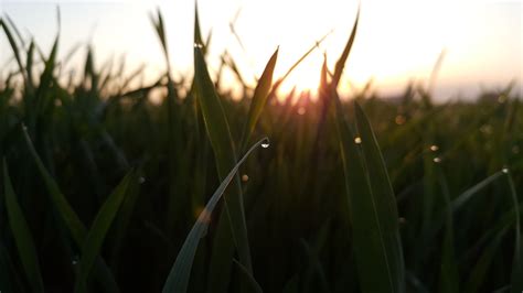 Kostenlose Foto Wasser Gras Gr N Natur Himmel Feuchtigkeit