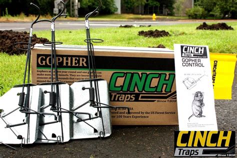 Gopher Kit Cinch Traps The Best Mole And Gopher Trap