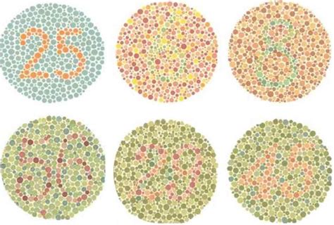 How to Interpret the Ishihara Color Plate Test