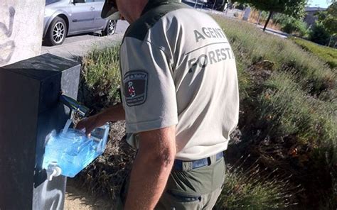 Indignación de los agentes forestales por la nueva ley del Gobierno