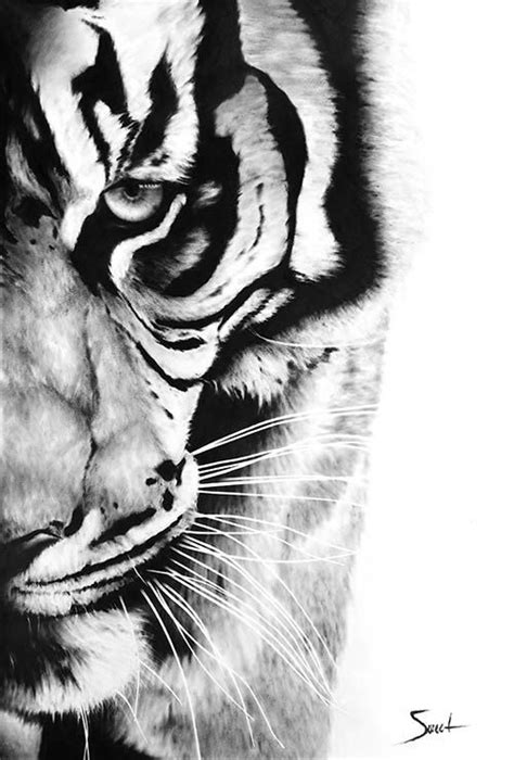 Bengal Tiger Sketch at PaintingValley.com | Explore collection of ...