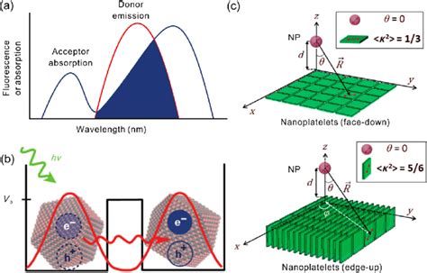 Fluorescence Resonance Energy Transfer A Spectral Of Fret Overlap