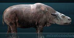 Mixotoxodon - Alchetron, The Free Social Encyclopedia