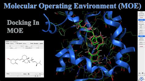 How To Dock Ligands In Moe Moe Tutorial Youtube