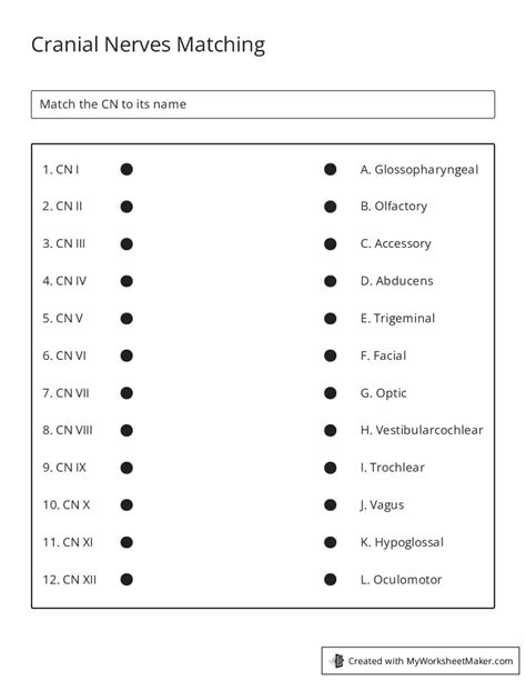 Cranial Nerves Matching My Worksheet Maker Create Your Own Worksheets