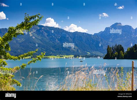 View Of Forggensee Lake Hi Res Stock Photography And Images Alamy