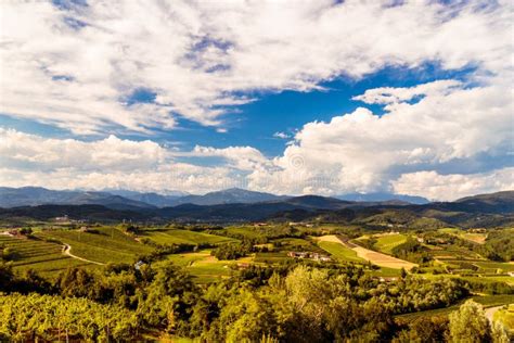 The Beautiful Vineyard Of Collio Friuli Venezia Giulia Italy Stock