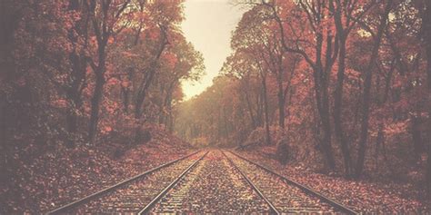 autumn header | Tumblr