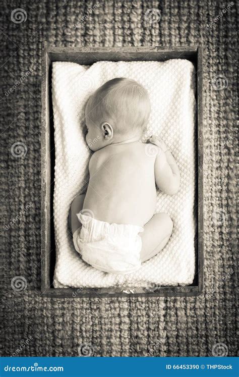 Newborn Baby In Crate Filtered Stock Photo Image Of Born Young 66453390