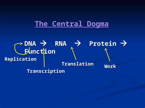 Ppt Dna Rna Protein Function Dokumen Tips